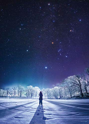 ジグソーパズル KAGAYA 冬のダイヤモンド 500ピース (38x53cm