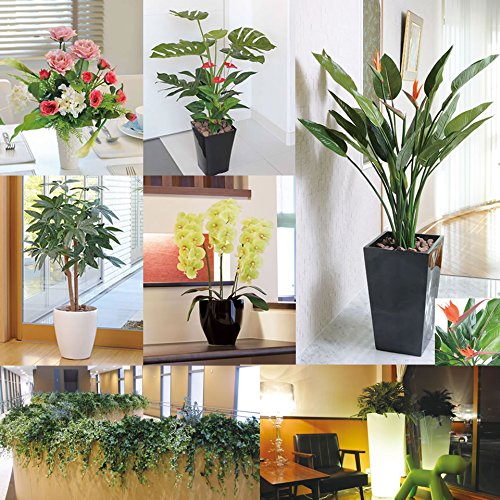 光触媒 胡蝶蘭（造花の胡蝶蘭） クイーン胡蝶蘭５本立Ｙ (開店・開院・開業 お祝い用) 光触媒 造花 光の楽園 クイーン胡蝶蘭5本立L 655A150 光触媒 造花 光の