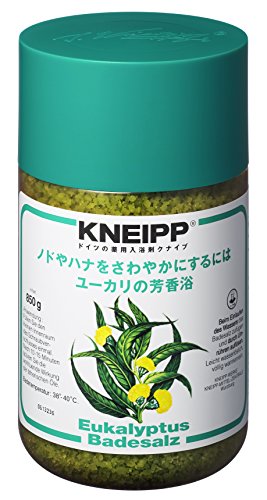 クナイプ　バスソルト　ユーカリ　８５０ｇ
