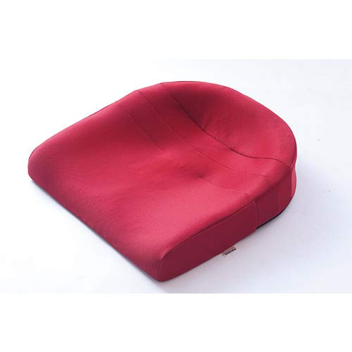 スポッとクッション レッド