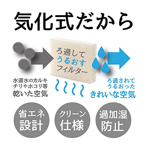 ボルネード 加湿器 サーキュレータ搭載 39畳 お手入れ簡単 6.7L 気化式 エバップ3 黒 EVAP3-JP-blk