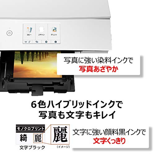 Canon プリンター A4インクジェット複合機 PIXUS TS8430 ホワイト 2020年モデル テレワーク向け 普通