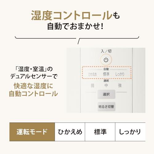 象印 加湿器 長時間加湿タイプ 4.0L スチーム式 蒸気式 フィルター不要 お手入れ簡単 グレー EE-DD50-HA