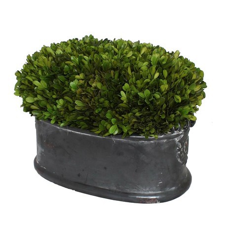 ブリザードプランツ 枯れない観葉植物 インテリアグリーン 鉢植え トピアリーの通販はau Pay マーケット ロシナンテ オンライン ブリザードプランツ 枯れない観葉植物 インテリアグリーン 鉢植え トピアリーの通販はau Pay マーケット ロシナンテ オンライン