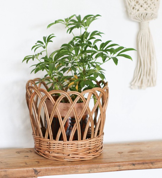 アラログ ポットカバーL NEIN MARKE / ナインマーケ / 生活雑貨 ガーデニング・エクステリア 鉢・プランターの通販は 4,850円