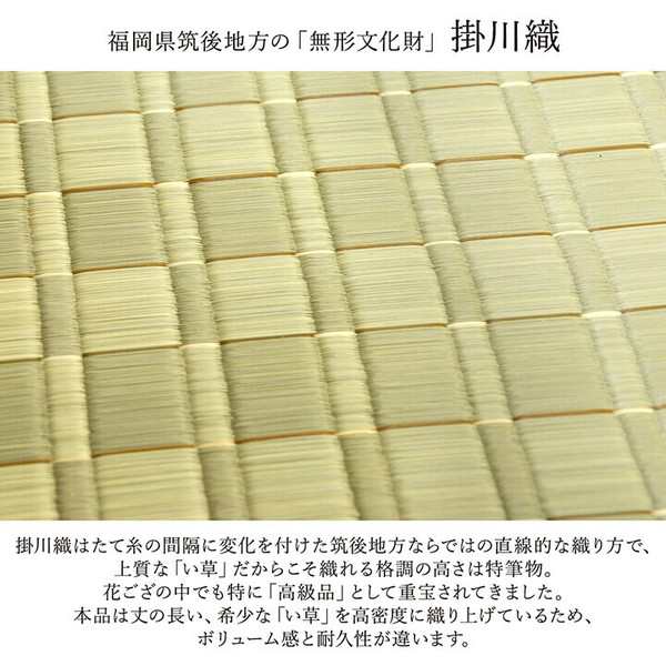 い草上敷き 糸引織(平安) 10畳 約348×440cm TSN340924【メーカー
