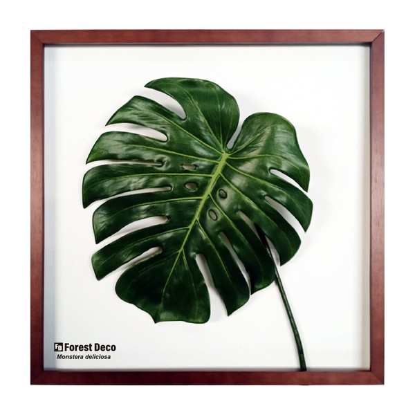 インテリアグリーンアート/ForestDecoL Monstera Deliciosa3 / 家具・インテリア インテリアアート アートフレームの通販は