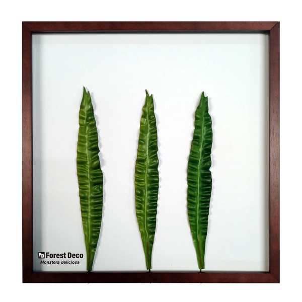インテリアグリーンアート/ForestDecoL Emerald Wave / 家具・インテリア インテリアアート アートフレームの通販は