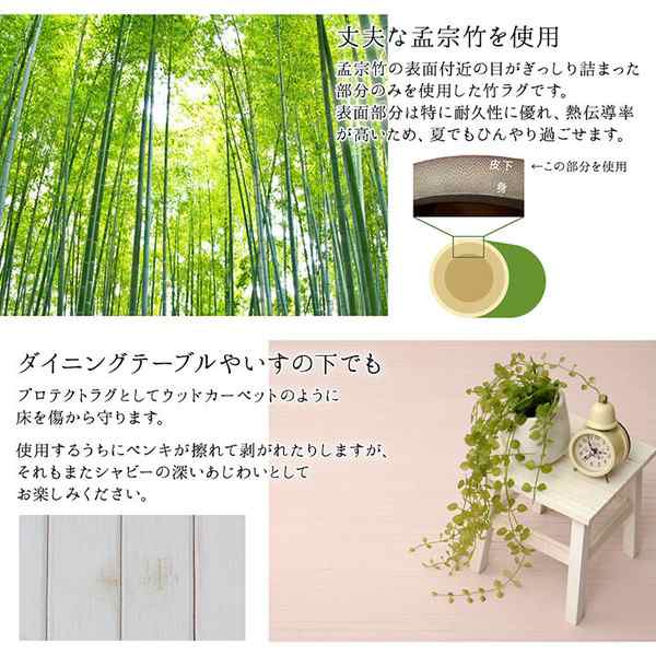 クーポン配布中!! メール便/送料無料 ホルベイン ダ ヴィンチ画筆 Red 