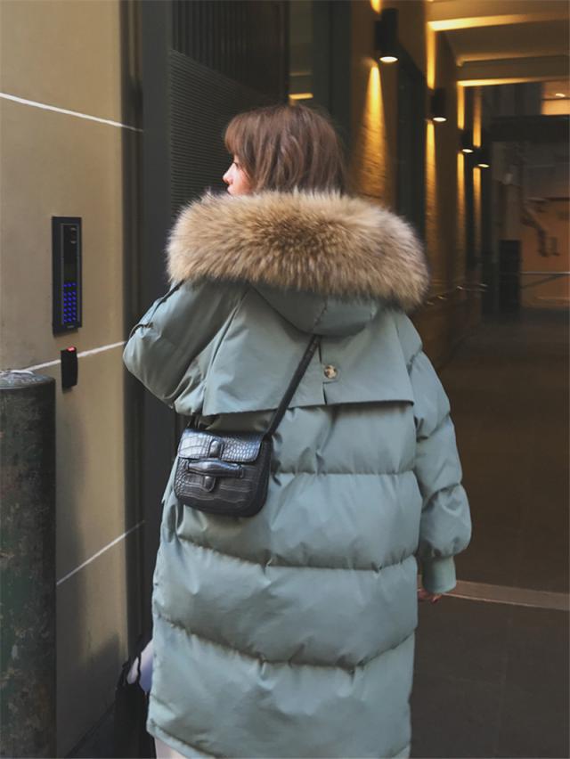 冬の新型のゆったりとした羽毛の女子のショートサイズの学生の大毛