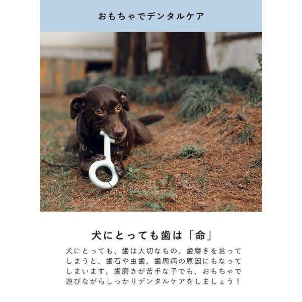 犬用おもちゃ 鍵 M L ピダン 犬 おもちゃ 噛む 壊れない 丈夫 歯磨き ペット 犬用品 おしゃれ 犬用の通販はau Pay マーケット S B