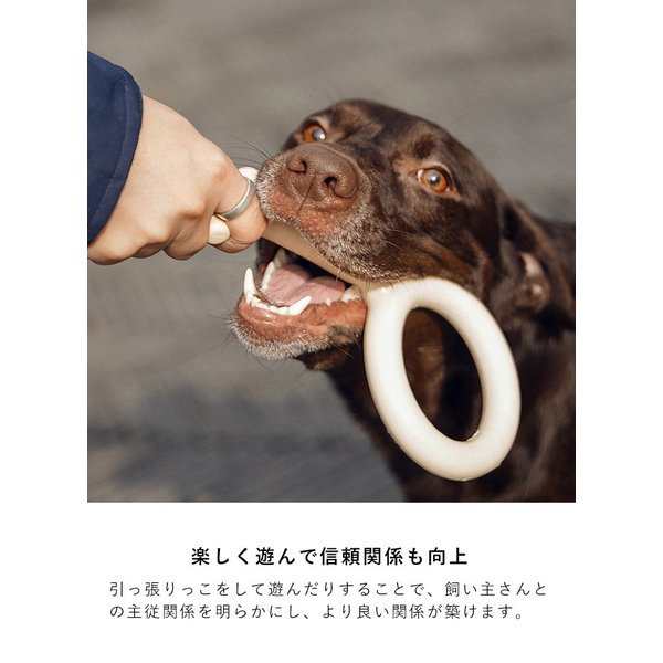 犬用おもちゃ 鍵 M L ピダン 犬 おもちゃ 噛む 壊れない 丈夫 歯磨き ペット 犬用品 おしゃれ 犬用の通販はau Pay マーケット S B