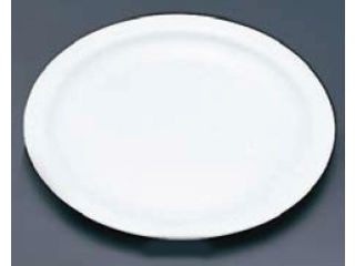 Arcoroc アルコロック アルコロック・ホテリエール　５９９４３／ステーキ皿φ２５８mm