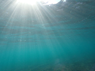 Fisheye フィッシュアイ 21191 WF ワイドエアレンズWFL11M52