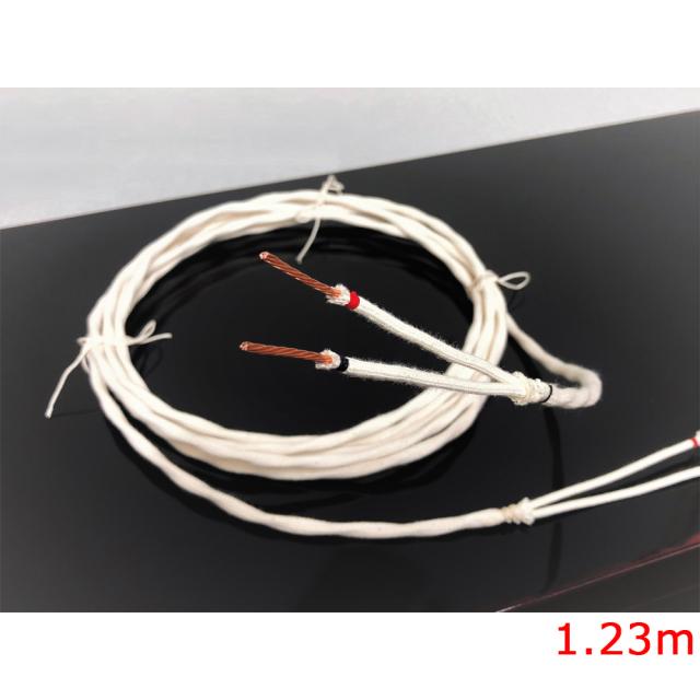 Canon PowerShotG9、WIDE CONVERTERセット