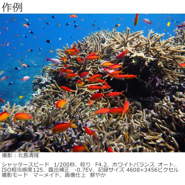 RICOH リコー RICOH WG-80（オレンジ）＋O-CC1252 プロテクタージャケットセット【wg80set】_7