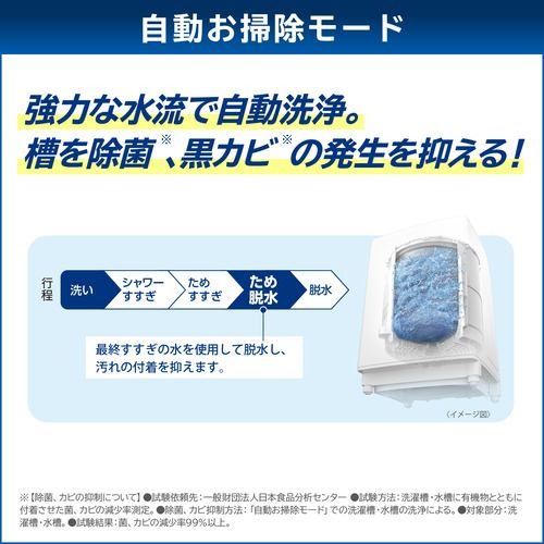 TOSHIBA 東芝 洗濯機 8kg 縦型 全自動インバーター洗濯機 AW-8DP4W+洗濯槽クリーナーセット「1都3県限定」
