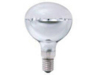 IWASAKI 岩崎電気 白熱リフレクター電球(アイランプ)220V450W RF220V450WH