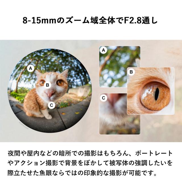 LAOWA ラオワ LAO0820 LAOWA 8-15mm F2.8 FF Zoom Fisheye ニコンZ 