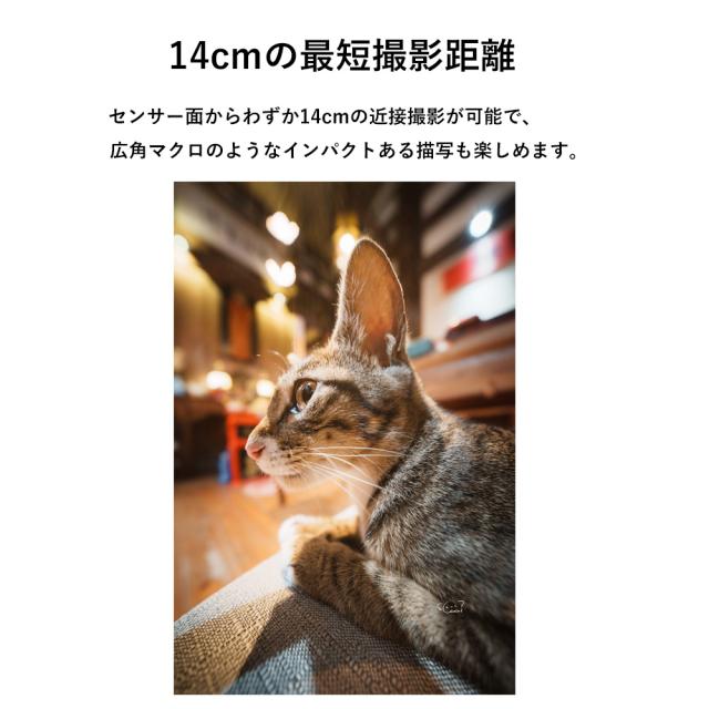 LAOWA ラオワ LAO0824 12mm F2.8 Lite Zero-D FF AF(オートフォーカス） ソニーEマウント_5