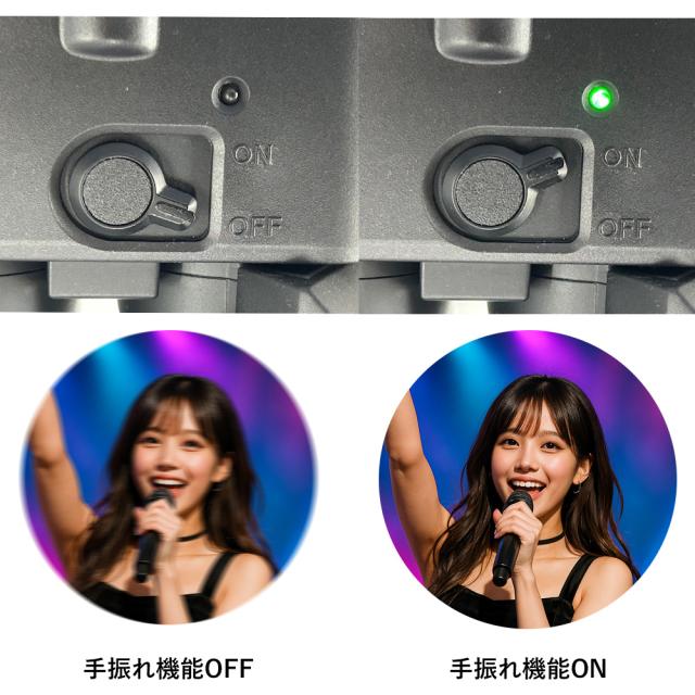 SIGHTRON サイトロン SIB40-1488 SIII 1850ED STABILIZER 防振双眼鏡18×50 18x50
