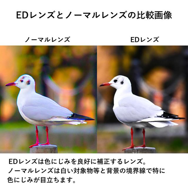 SIGHTRON サイトロン SIB40-1488 SIII 1850ED STABILIZER 防振双眼鏡18×50 18x50