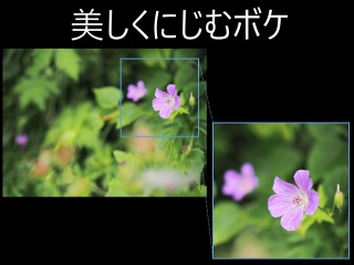 OM SYSTEM オーエムシステム 納期約2週間かかります M.ZUIKO DIGITAL ED 20mm F1.4 PRO　単焦点レンズ_5
