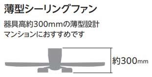 ODELIC オーデリック WF081P1　シーリングファン(マットシルバー色・木調ナチュラル色) ［パイプ吊り］_5
