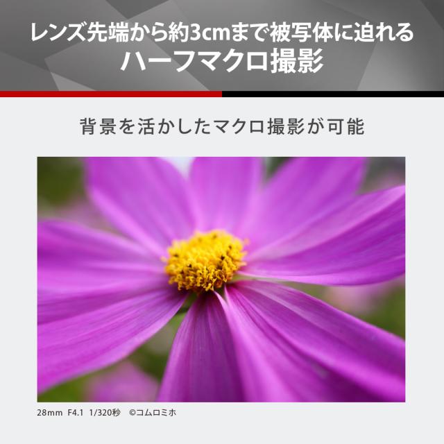 Panasonic パナソニック S-R28200 LUMIX S 28-200mm F4-7.1 MACRO O.I.S. 高倍率ズームレンズ ルミックス_6