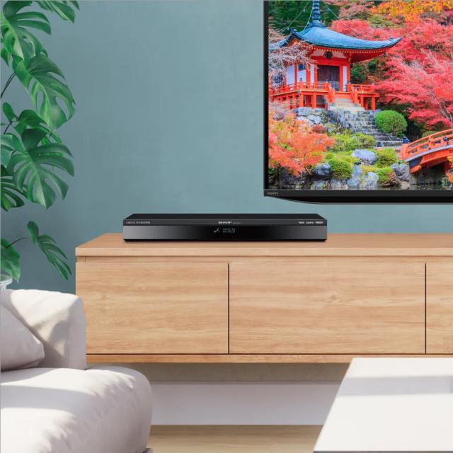 SHARP シャープ 4B-C40GT3 4TB 4Kチューナー内蔵 ブルーレイディスクレコーダー AQUOS アクオス