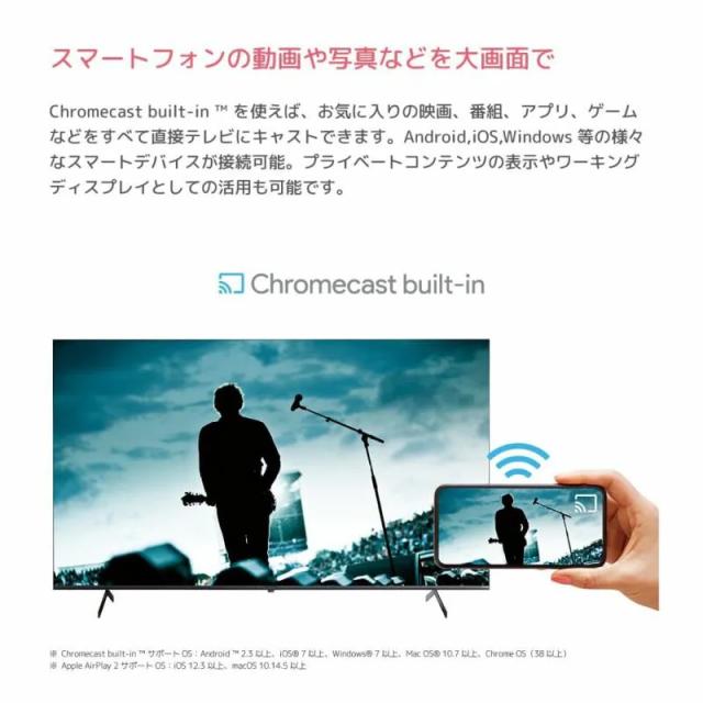 ORION オリオン OLS24WD10 24V型 ハイビジョン GoogleTV搭載 スマートテレビ 24インチ