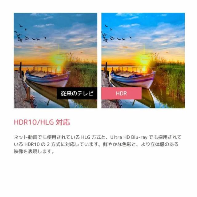 ORION オリオン OLS24WD10 24V型 ハイビジョン GoogleTV搭載 スマートテレビ 24インチ