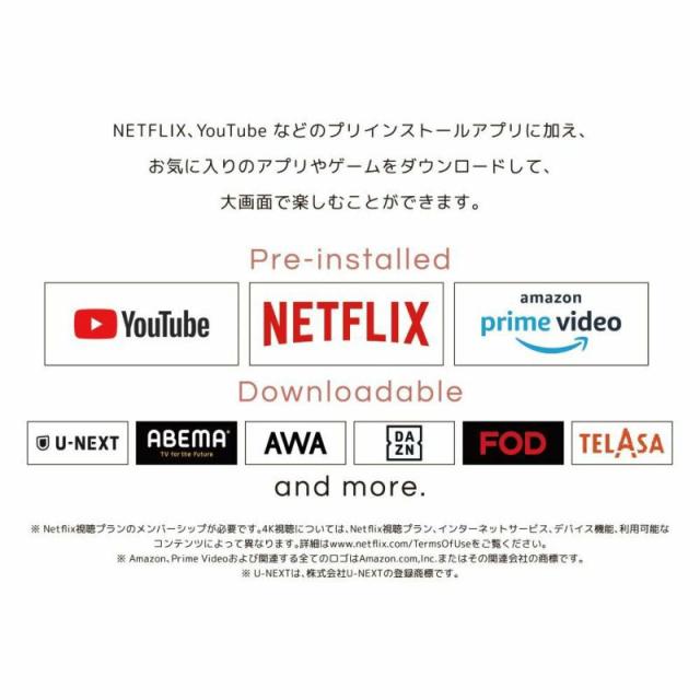 ORION オリオン PDG-241FB 24V型 フルハイビジョン ポータブルチューナーレステレビ GoogleTV搭載_7