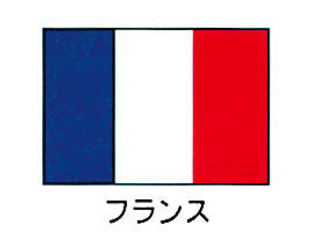 川正染工 エクスラン万国旗　７０×１０５cm／フランス