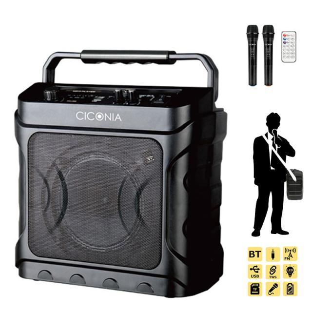 センター商事 CICONIA デスクトップスピーカー CDD160A