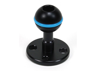 日本産柘植 ボックス クローソン セミヒル ボックスウッド （西洋ツゲ）