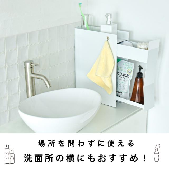 TAIGASHOJI 大河商事 Pitally002 調味料ストッカー_15