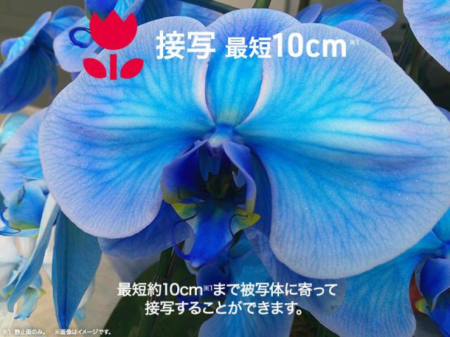 aiwaデジタル コンパクトデジタルカメラ aiwa cam DCB ライトブロンズ JA4-DCM0001(LB)_6