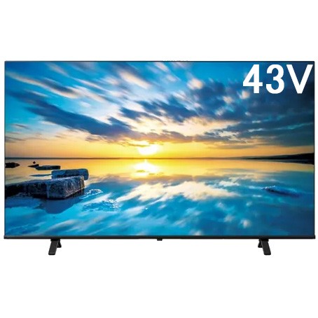 TOSHIBA 東芝 43C350M 43V型 4K液晶レグザ TVS REGZA C350M Professionalseries