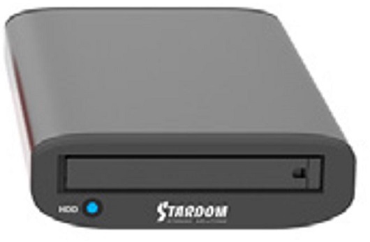 RAIDON TECHNOLOGY 1Bay USB3.2 Type-C 外付ストレージ Support 18W USB Power Delivery(グレー) MT1-B31P+ GRAY