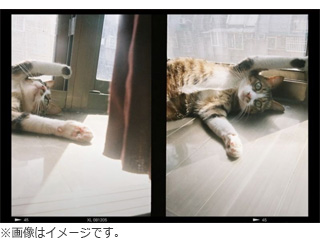 Kodak コダック RK0102 ブラウン　KODAK EKTAR H35 Half Frame Camera_6