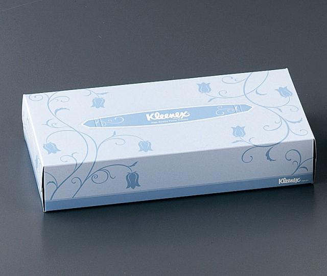 Crecia 日本製紙クレシア クリネックスティッシュ　レギュラーサイズ／（１ケース６０箱入） 6,560円
