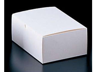 エコ洋生 サービスボックス／２０−１５０ ２号 ２００枚入の通販は 6,847円