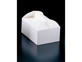 エコ洋生 キャリーボックス／ＤＥ−５３ ５号 １００枚入の通販は