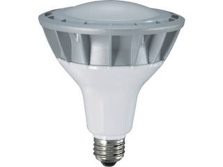 HATAYA ハタヤリミテッド LED作業灯 20W交換球昼白色広角タイプ LDR20N-H110の通販は