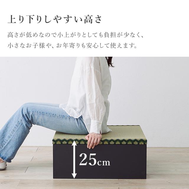 萩原 ハギハラ 畳付き収納スツール 長方形 ロータイプ 幅120×奥行60×高さ25cm ブラウン RUD-1149BR_10
