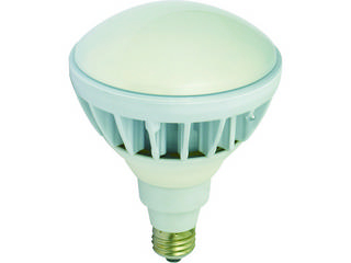 NICHIDO 日動工業 LED交換球 ハイスペックエコビック20W E26 昼白色 L20W-JW110-50K