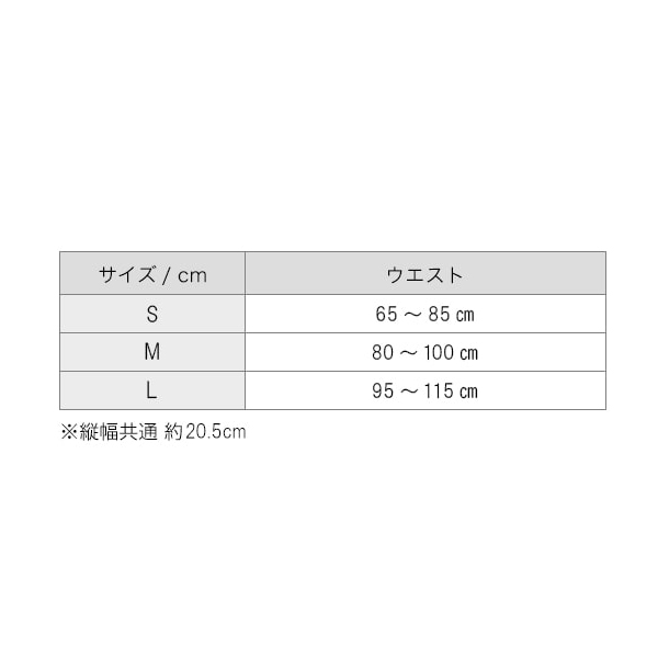 ファイテン Phiten ファイテンサポーター メタックス 腰用 ハードタイプ 【ブラック】【Mサイズ】 AP229004_7