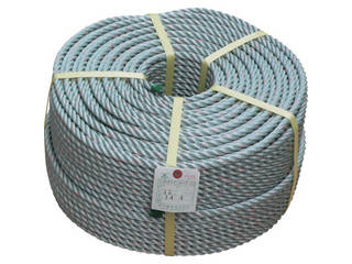 TAKAGI/高木綱業 ハイラインロープ GG 12mmX200m 36-4927の通販は