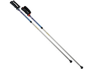 SINANO/シナノ ポールウォーキング レビータ・トゥインクル B  116331の通販は 9,075円